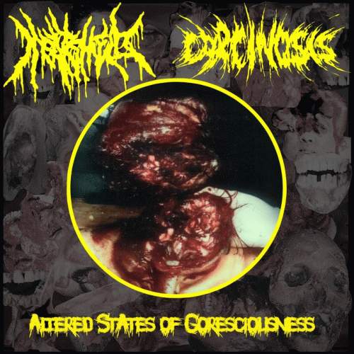 Meatshield : Altered States of Goresciousness
